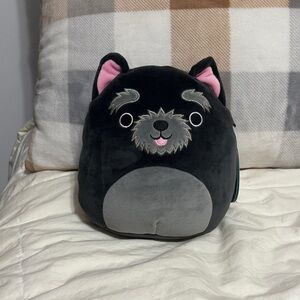 8” Chuy the puppy squishmallows - nwt